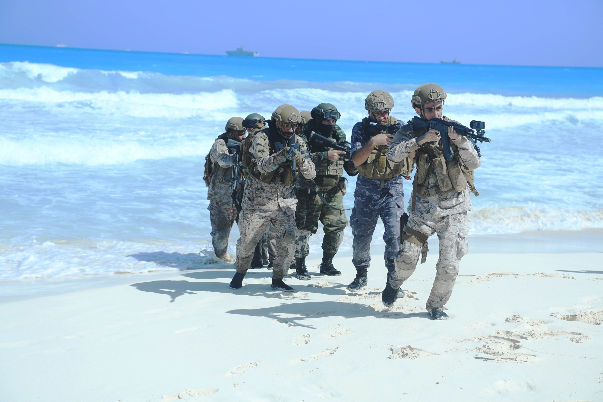 نفذت القوات العديد من المهام التدريبية البرية والجوية والبحرية