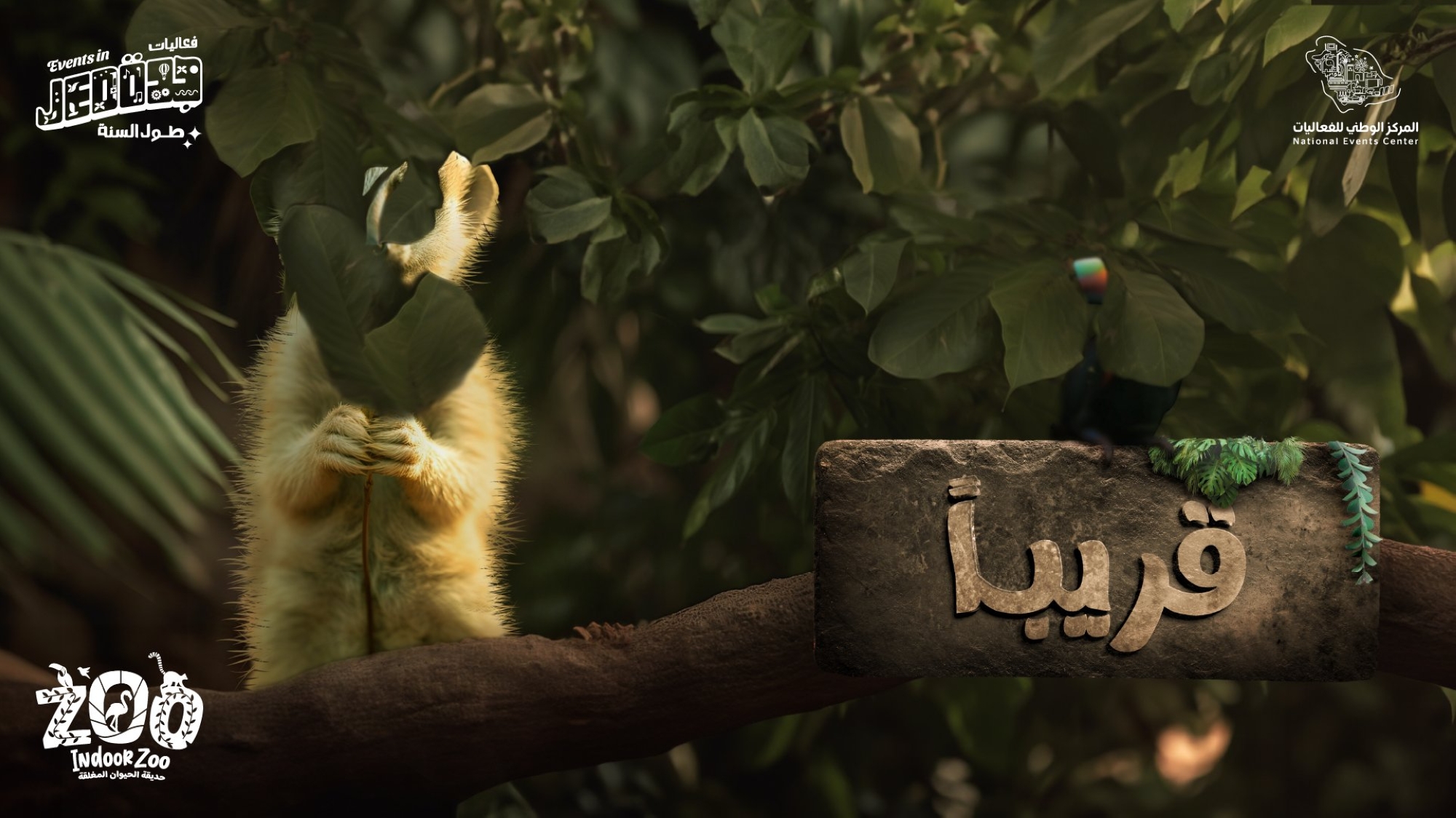 تقدم برامج وأنشطة ترفيه تناسب الأذواق والأعمار كافة