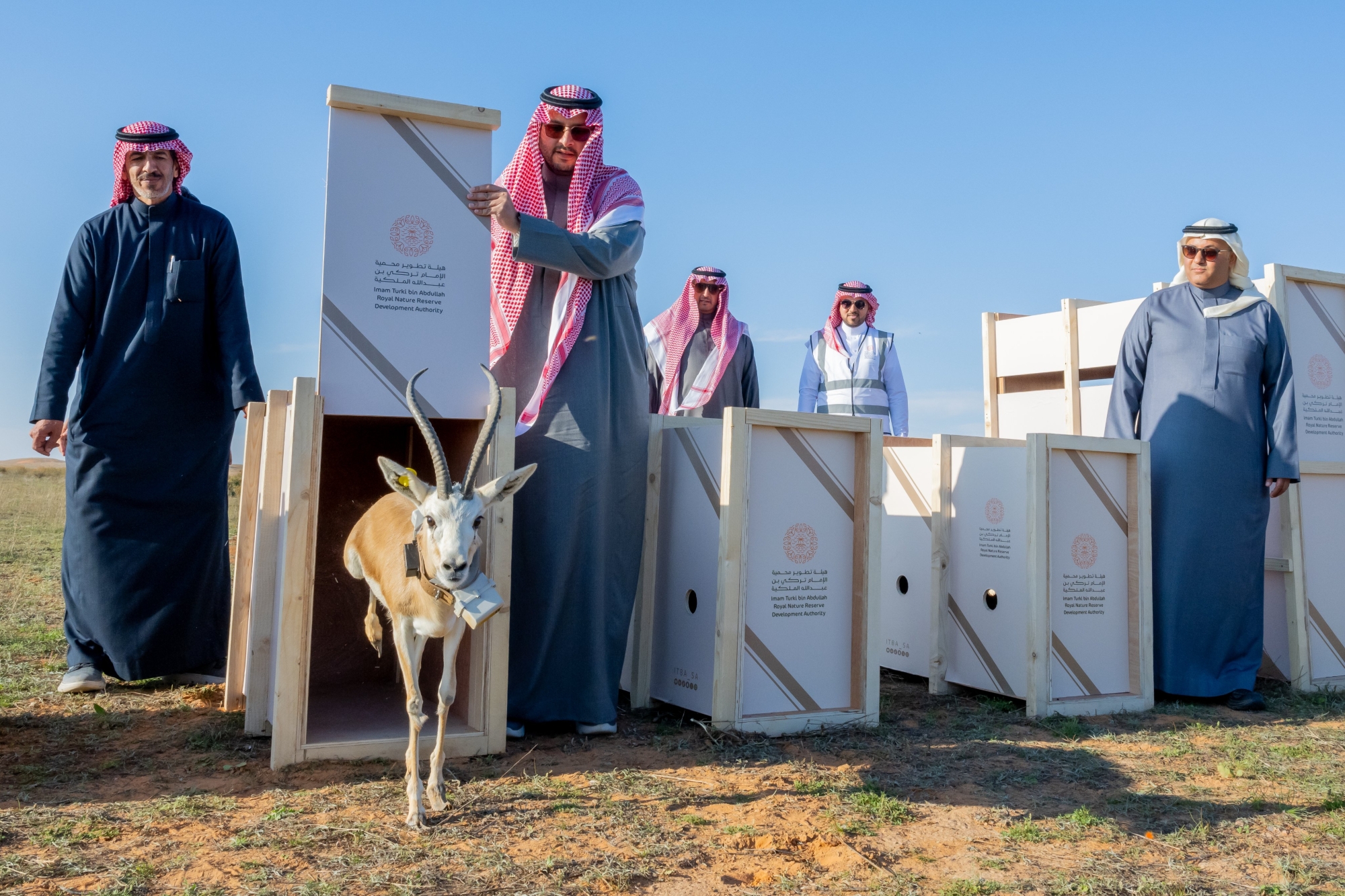 الأمير تركي بن محمد بن فهد يطلق عدداً من الكائنات الفطرية النادرة في محمية الإمام تركي بن عبدالله الملكية