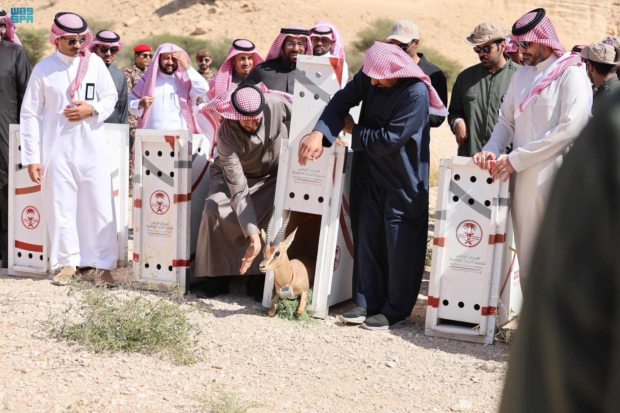 تأثير كبير في تحقيق مستهدفات الحماية ورفع الوعي البيئي