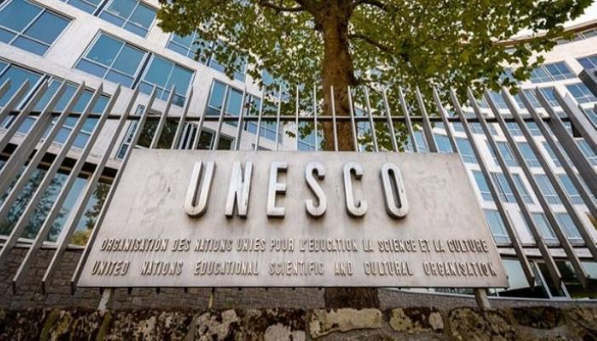 أسهمت المبادرة في استلهام رؤى جديدة لمزيد من التعاون بين الدول العربية