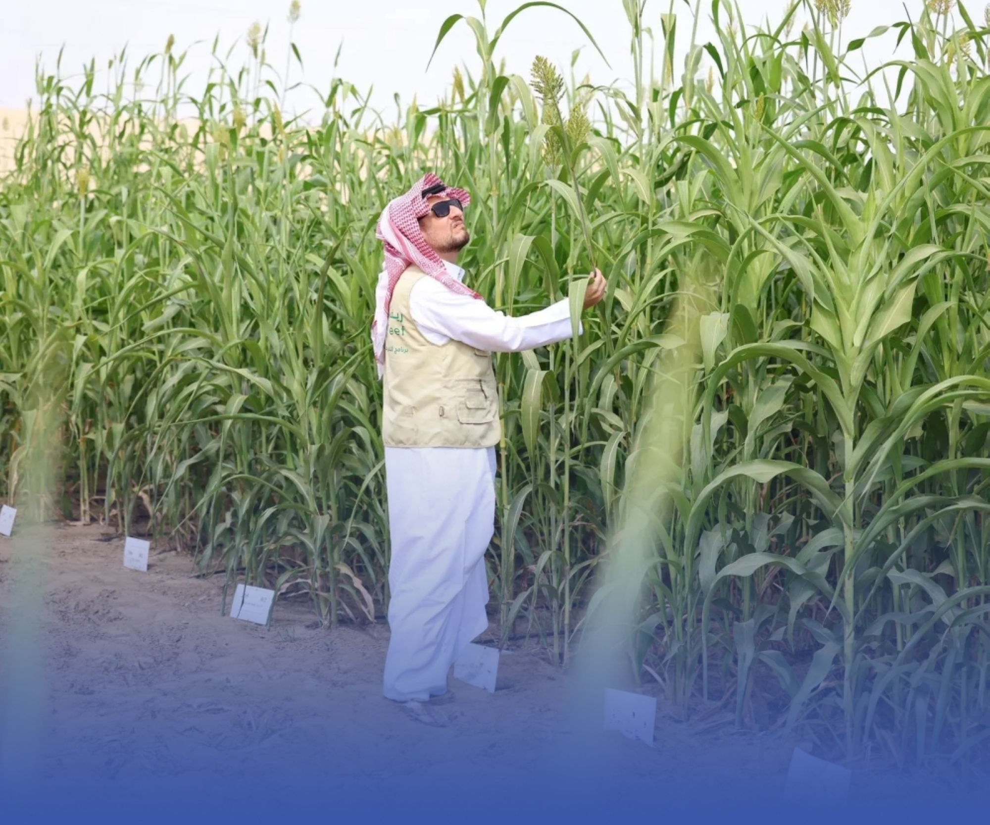 2.4 مليار دعمًا لتحسين أوضاع الأُسَر الريفية