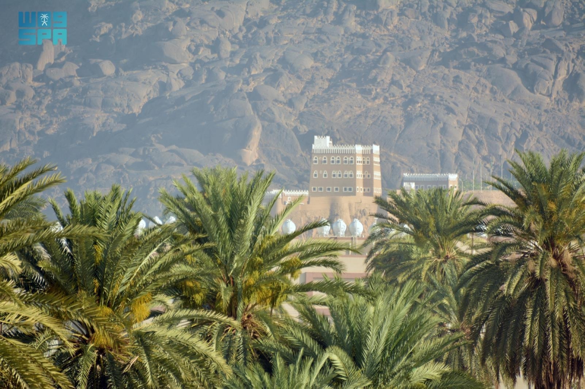 "الحضن" تزود الأسواق المحلية بمختلف أنواع المحاصيل الزراعية
