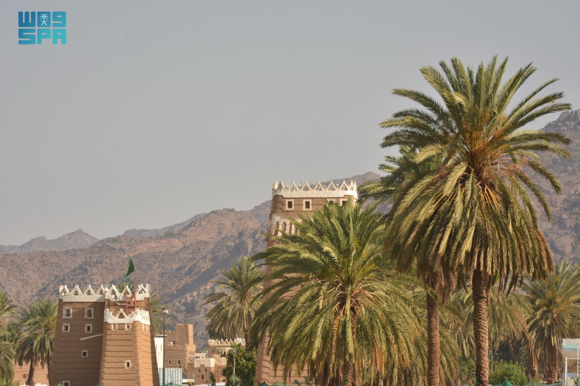 "الحضن" تزود الأسواق المحلية بمختلف أنواع المحاصيل الزراعية
