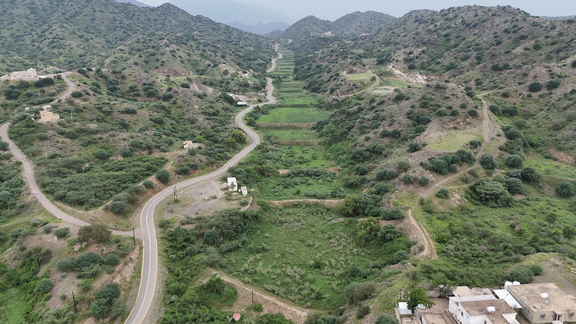 هطول أمطار خفيفة اليوم