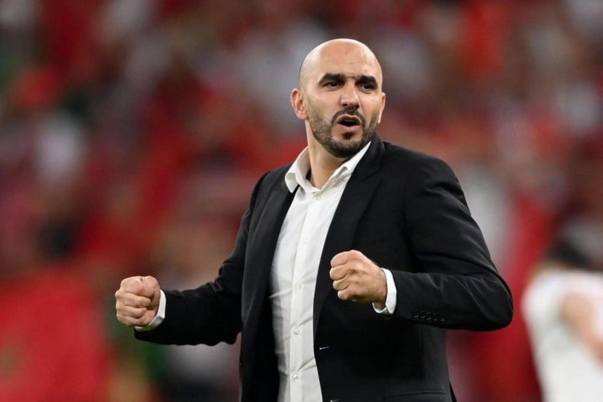 وليد الركراكي، المدير الفني للمنتخب المغربي