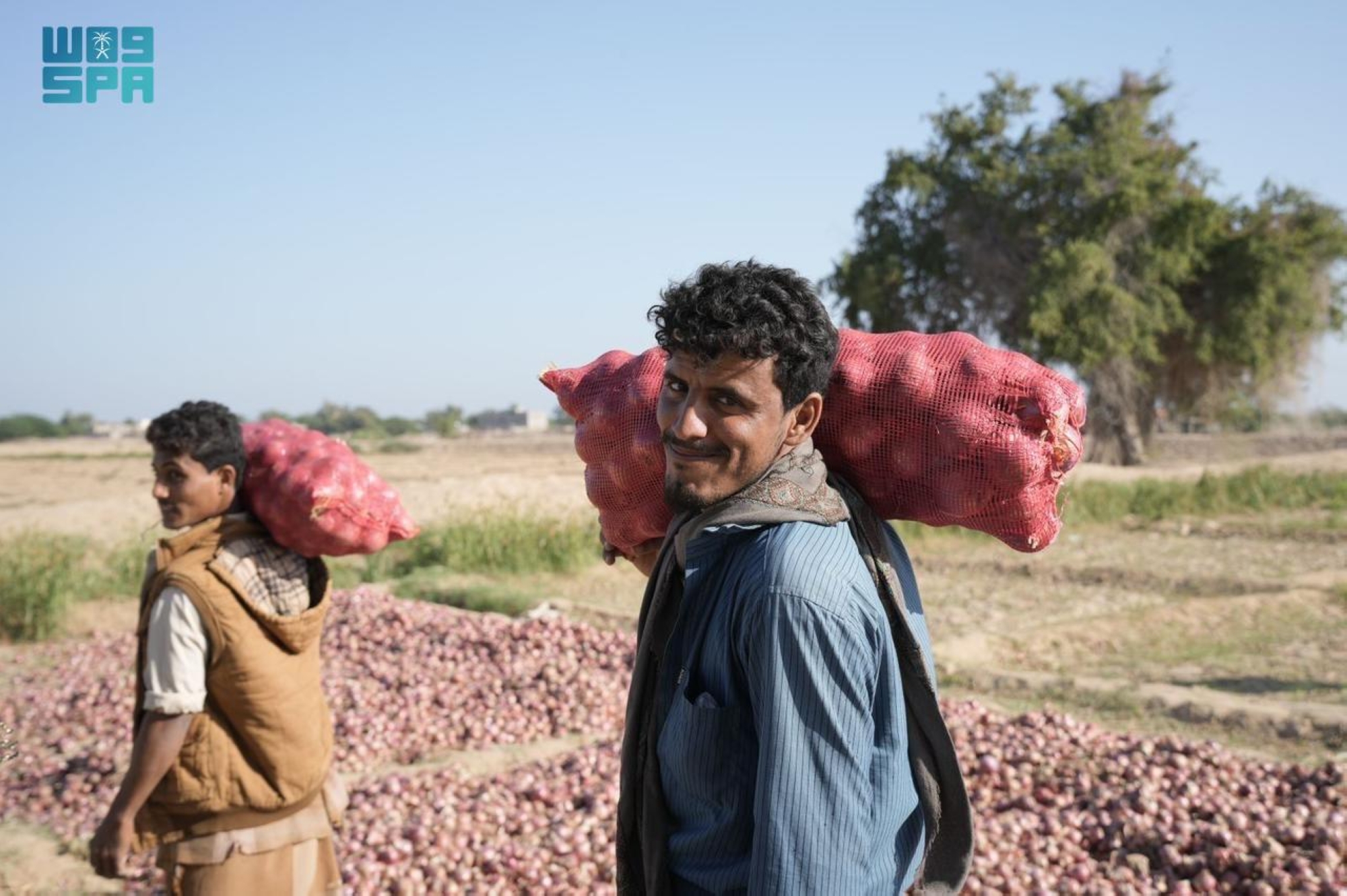 غطّت 5 قطاعات حيوية