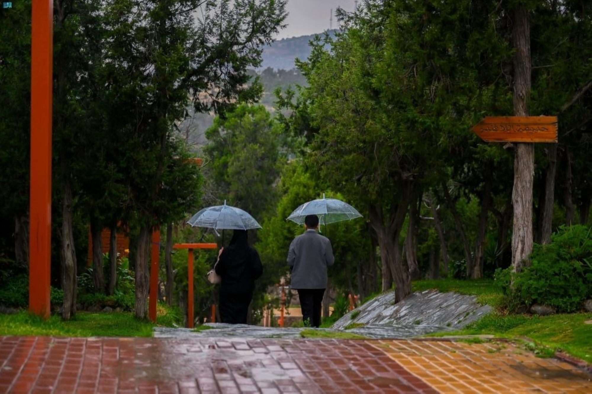 انخفاض ملموس في درجات الحرارة مع تكون الضباب