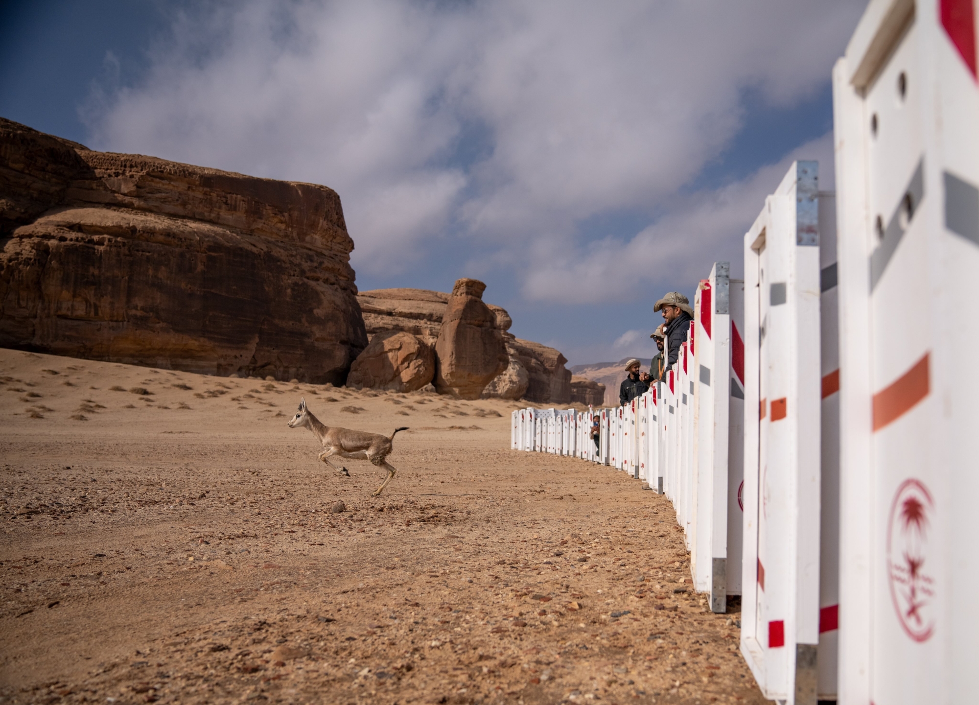 إطلاق 10 آلاف كائن فطري ضمن برامج إعادة التوطين