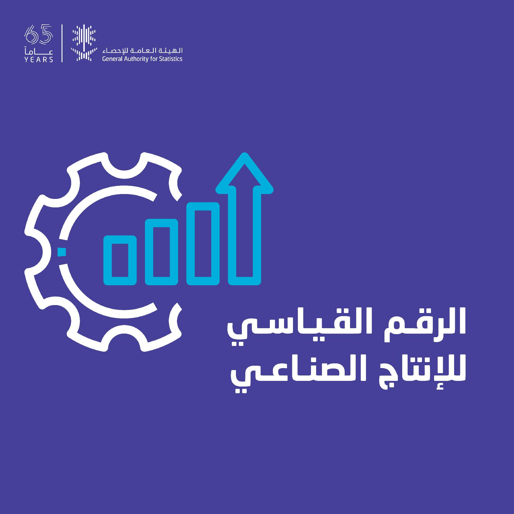 الرقم القياسي الفرعي لنشاط التعدين واستغلال المحاجر ارتفع بنسبة 13.2%