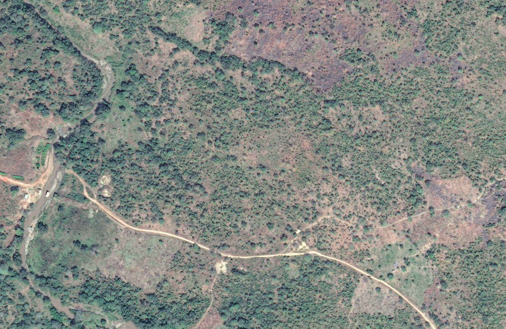 تشير صور الأقمار الصناعية إلى أن النشاط تزايد في أكتوبر 2025 في المعسكر