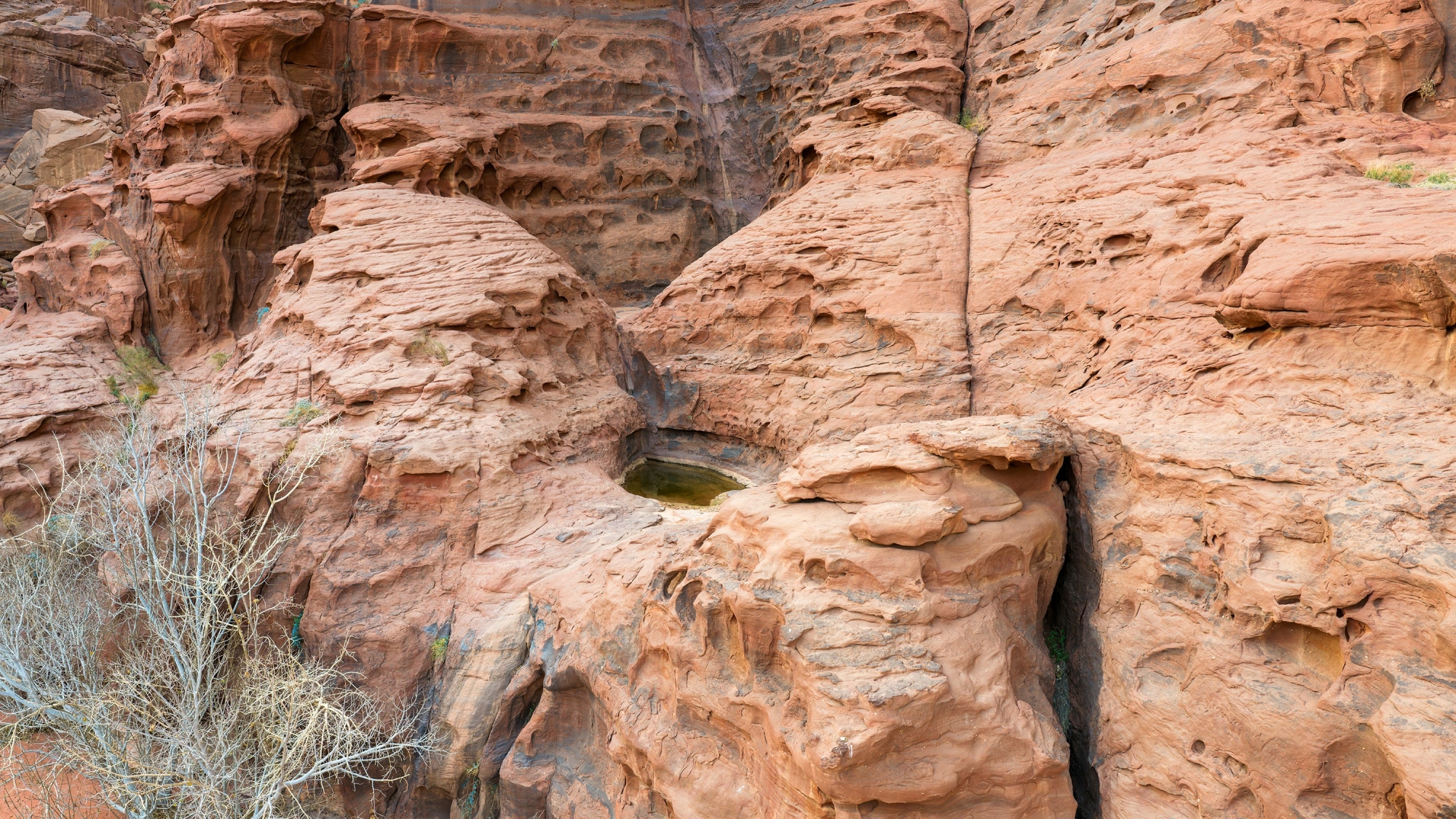 قلتات تبوك.. خزانات ماء طبيعية في قلب الجبال