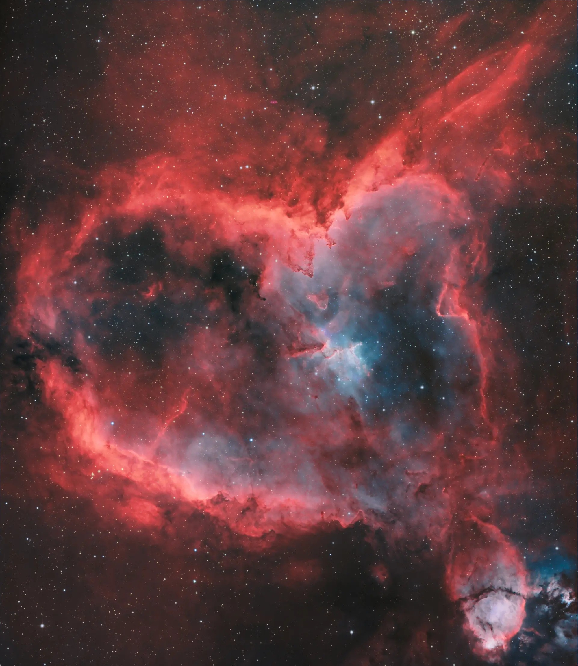 ن سديم القلب يتكوّن أساسًا من غاز الهيدروجين المؤيَّن