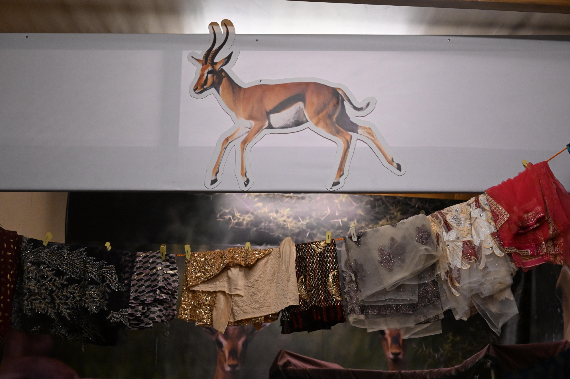 جزر فرسان تتألق في ليالي المحافظات بجازان