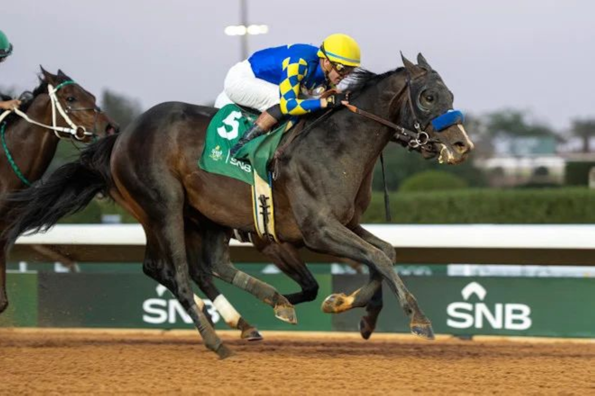 الجواد اماجنيشن في كأس السعودية