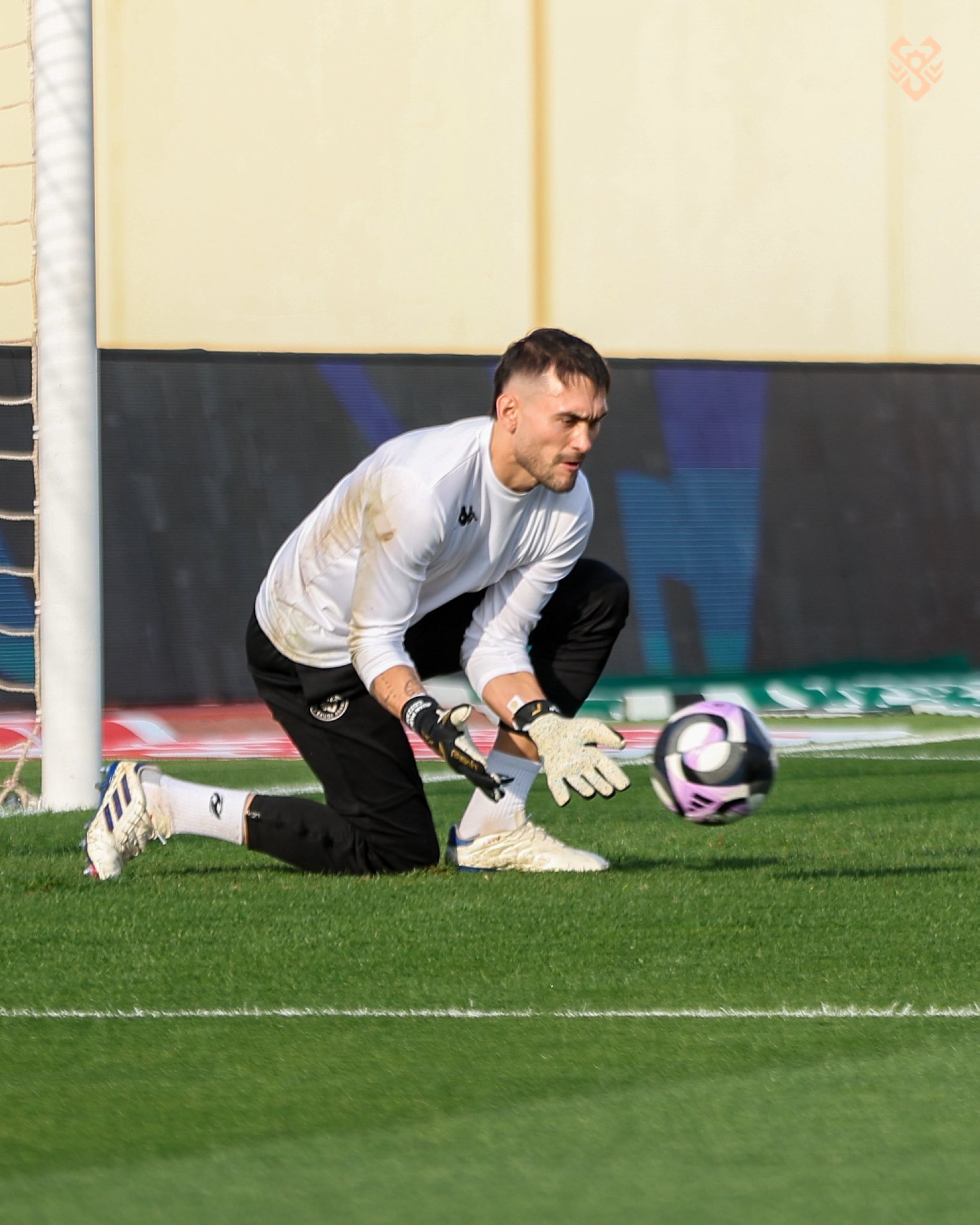 كوزاني، حارس الخلود