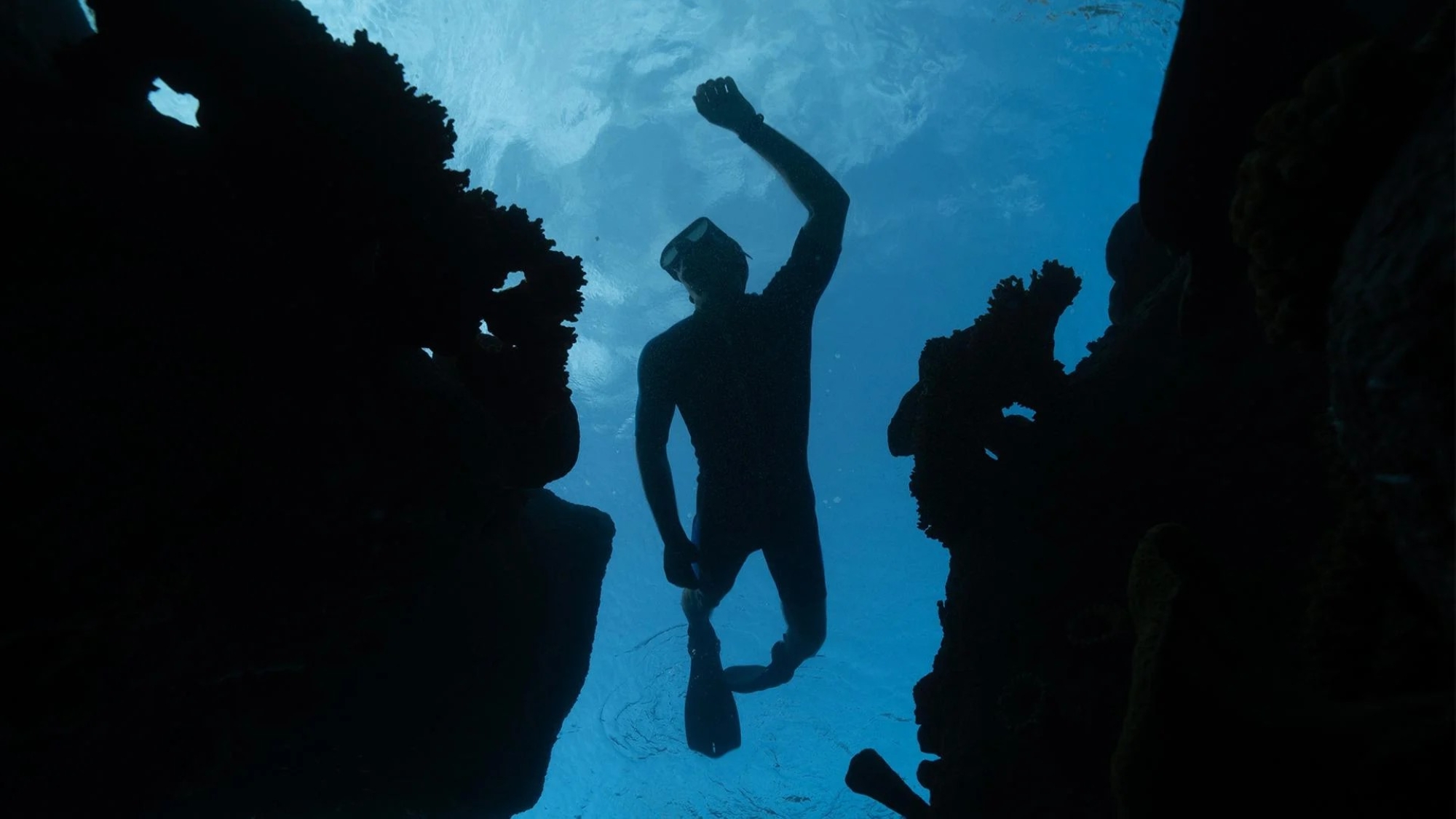 روعي في تصميم "أدرينا" تطبيق أعلى معايير سهولة الوصول