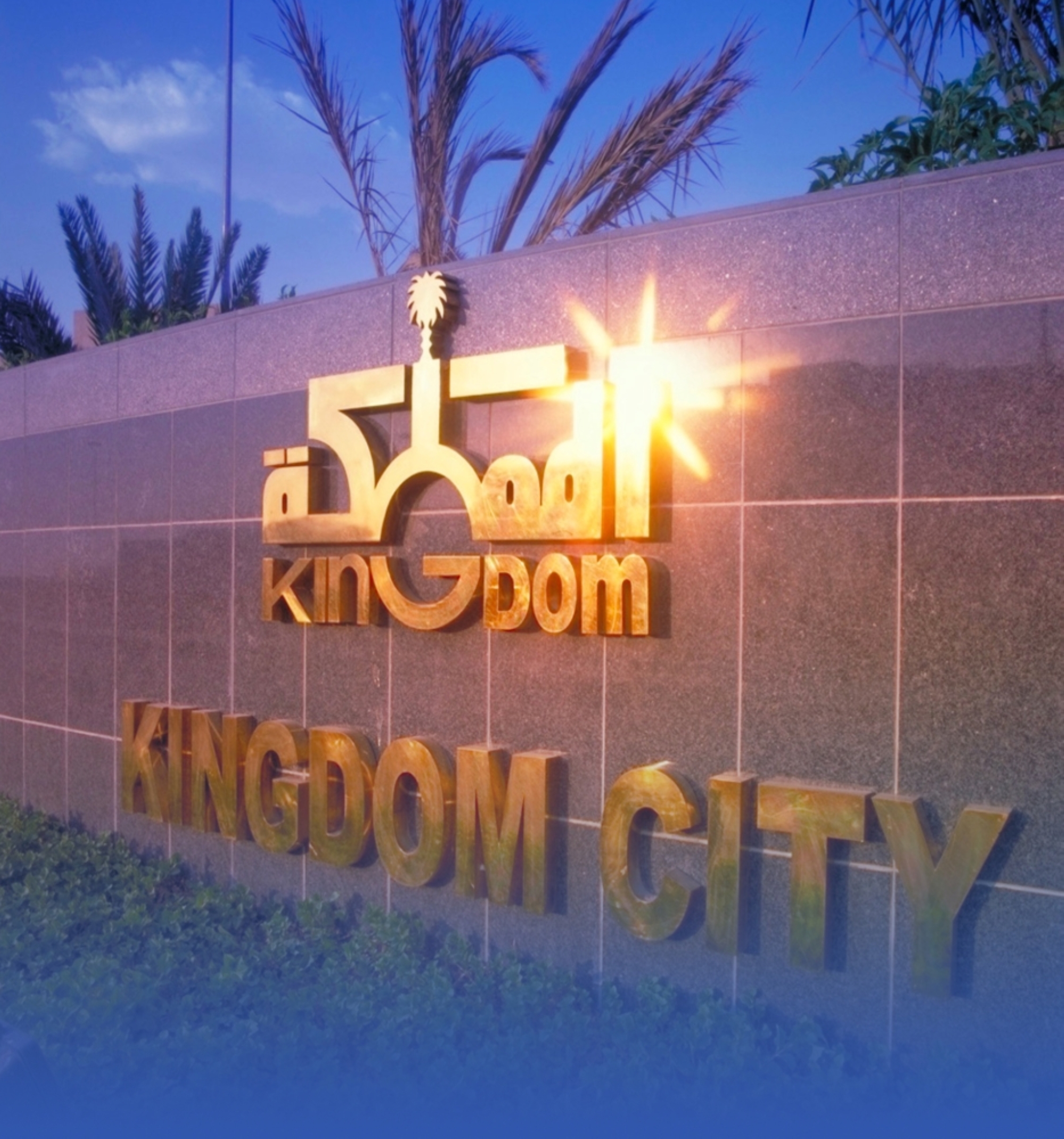 اندماج xAI مع SpaceX يرفع القيمة التقديرية للكيان الجديد إلى 1.25 تريليون دولار