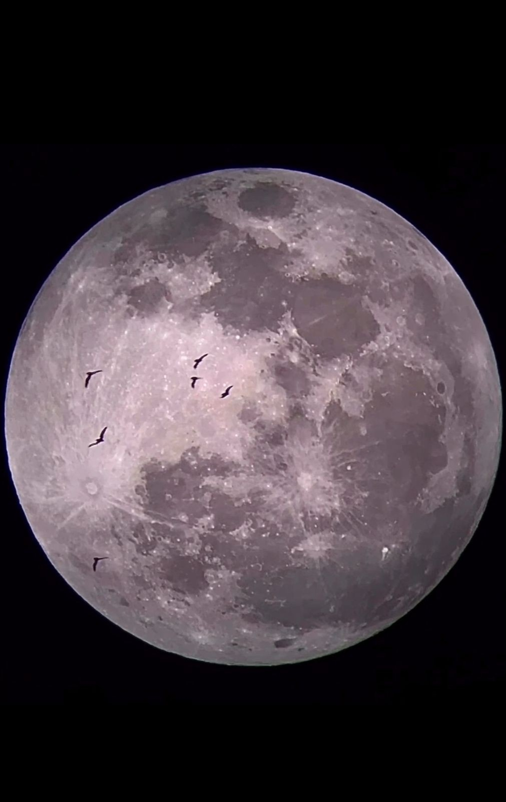  أكبر مواقع السماء المظلمة المعتمدة في المنطقة.