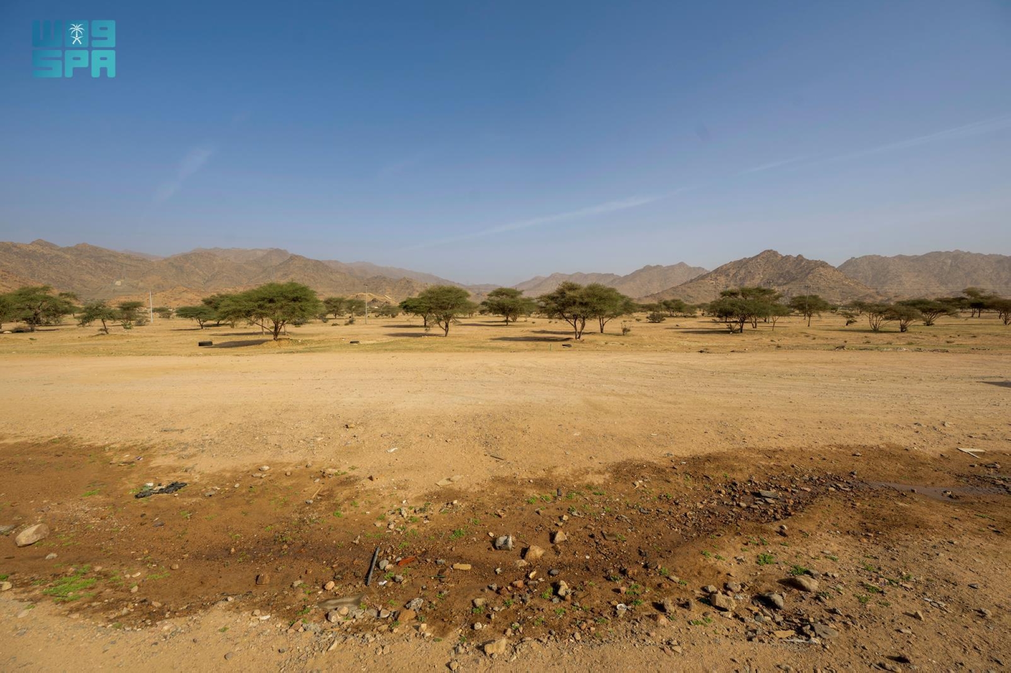 ارتبط اسم الروحاء بوقائع تاريخية ومرويات في كتب السيرة