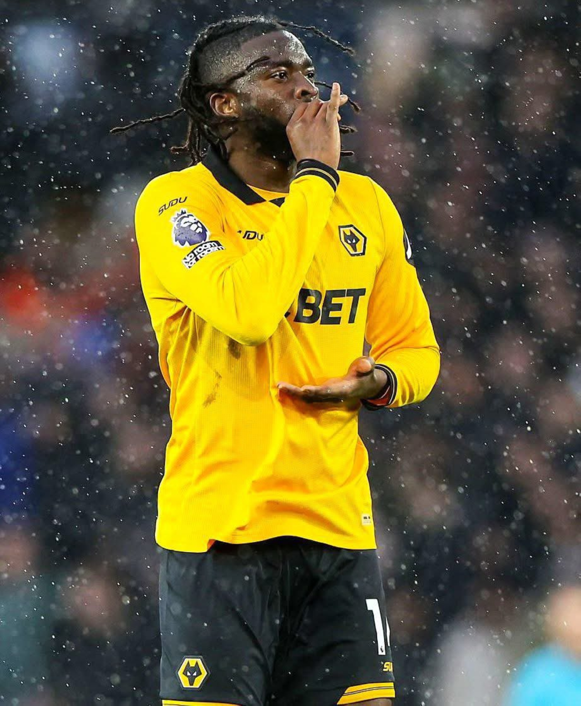 تولو أروكوداري